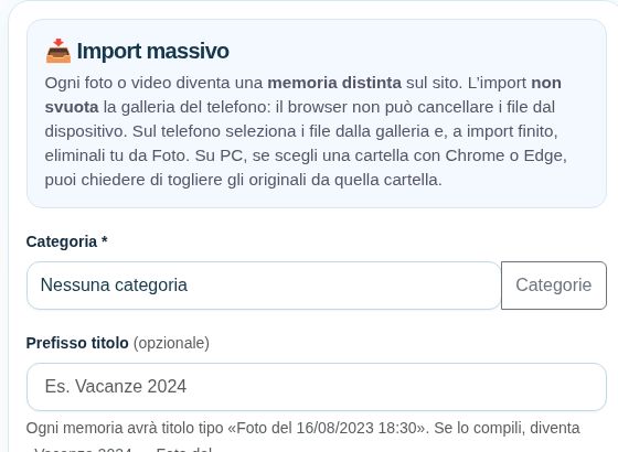 Il pannello Import ricorda che caricare online non elimina i file dal telefono. Questa distinzione vale anche quando usi il browser su Android.
